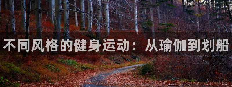 意昂4官方网站
