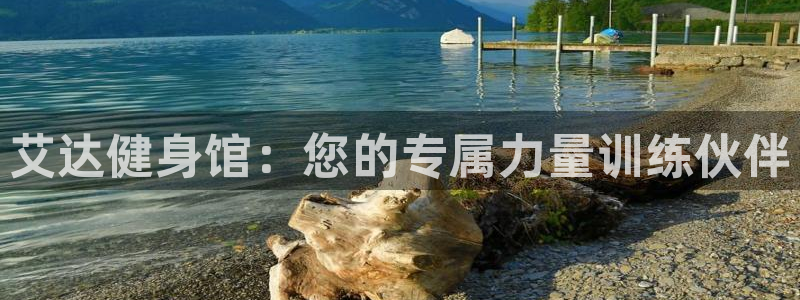 意昂4官方网站