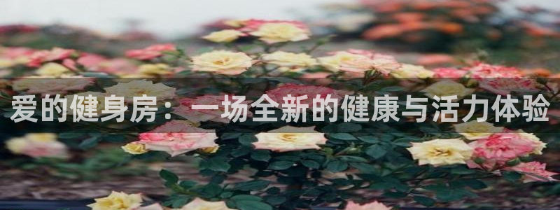意昂4娱乐