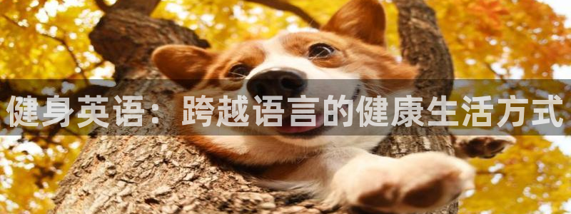 意昂4招商