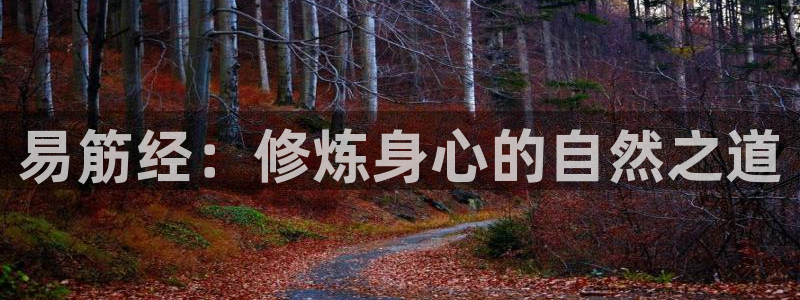 意昂4代理