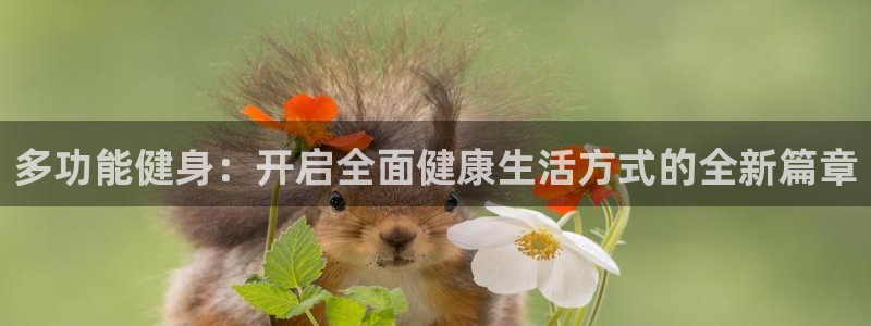 意昂4招商