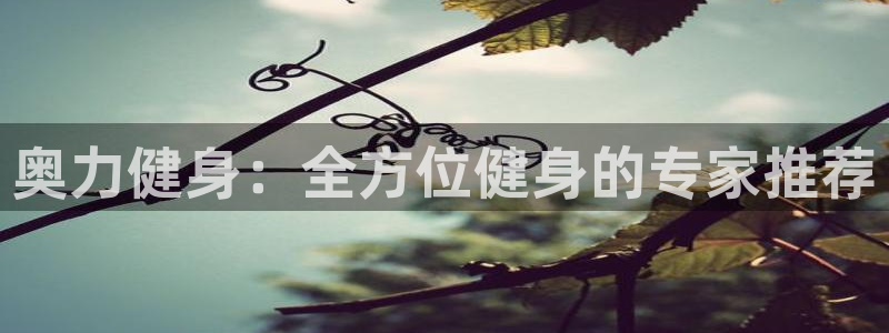 意昂4平台