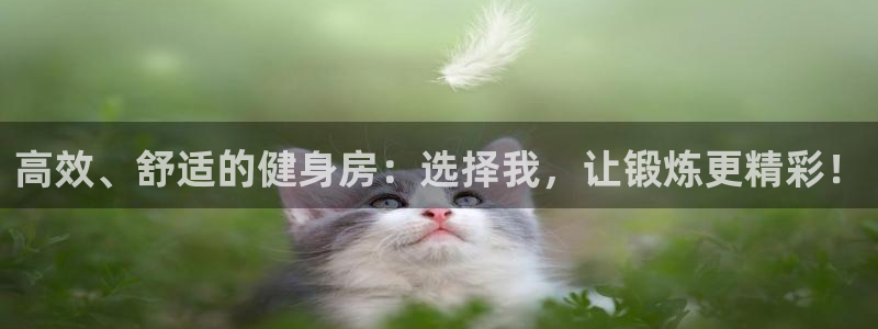 意昂4官方网站