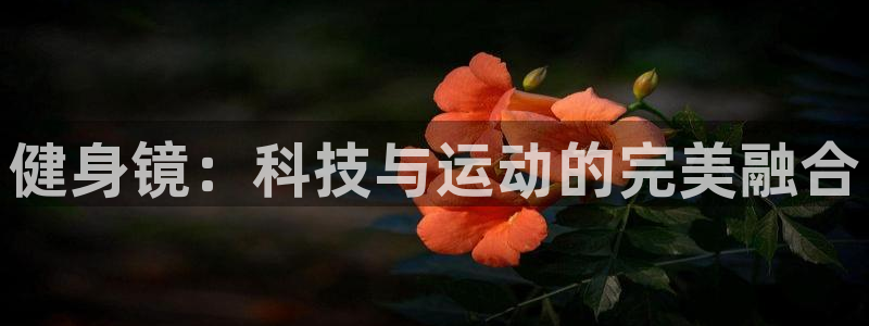 意昂4官方平台