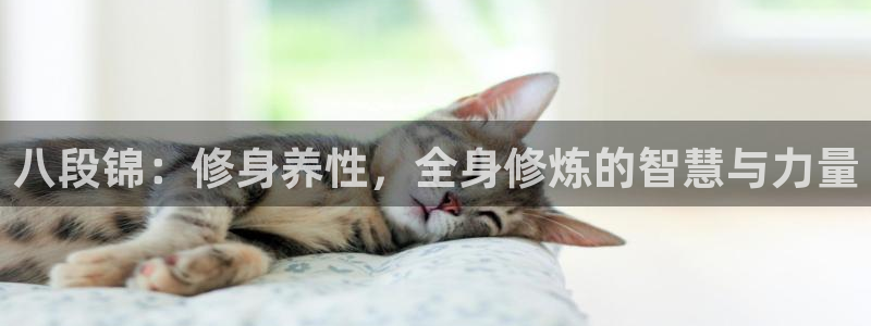 意昂4代理