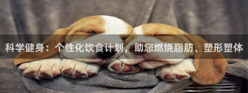 意昂4招商