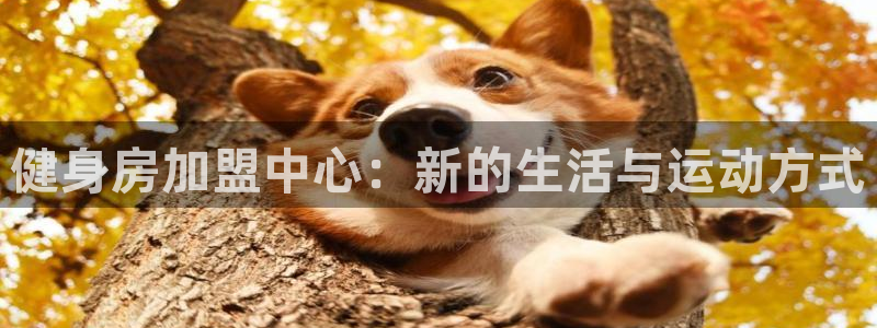 意昂4娱乐
