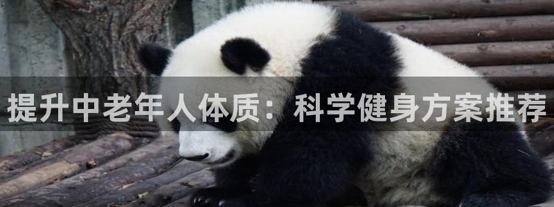 意昂4官方平台